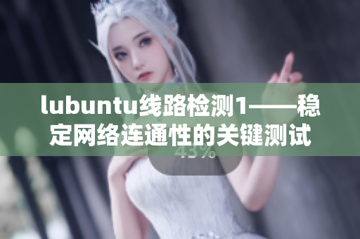 lubuntu线路检测1——稳定网络连通性的关键测试