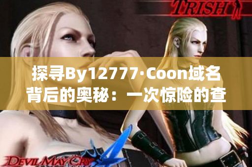 探寻By12777·Coon域名背后的奥秘：一次惊险的查询经历