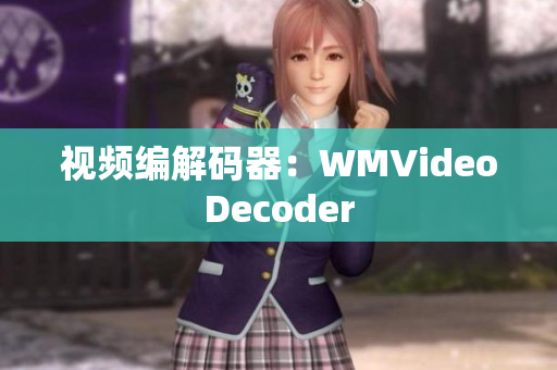 视频编解码器：WMVideoDecoder