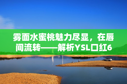 雾面水蜜桃魅力尽显，在唇间流转——解析YSL口红6004