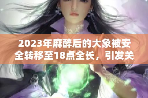 2023年麻醉后的大象被安全转移至18点全长，引发关注