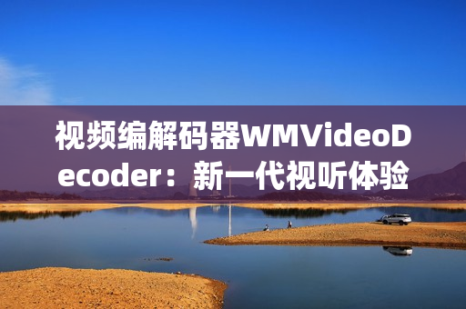 视频编解码器WMVideoDecoder：新一代视听体验的技术革新(1)