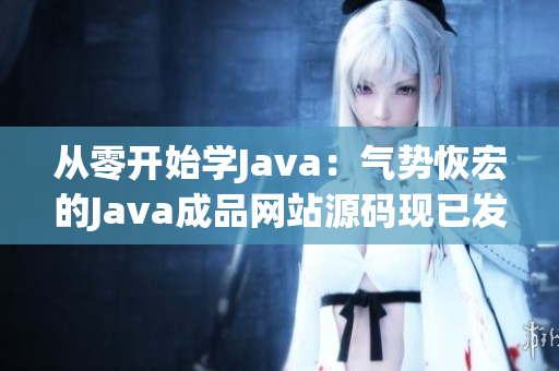 从零开始学Java：气势恢宏的Java成品网站源码现已发布！