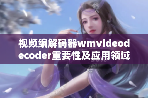 视频编解码器wmvideodecoder重要性及应用领域详解