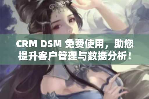 CRM DSM 免费使用，助您提升客户管理与数据分析！