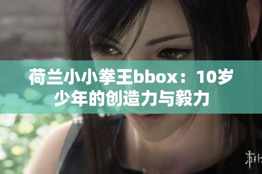 荷兰小小拳王bbox：10岁少年的创造力与毅力