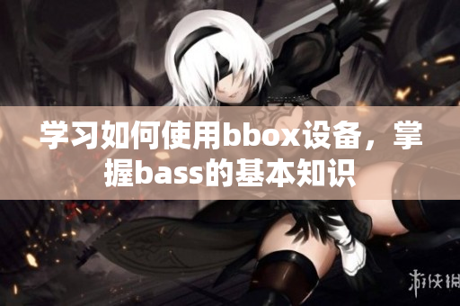 学习如何使用bbox设备，掌握bass的基本知识