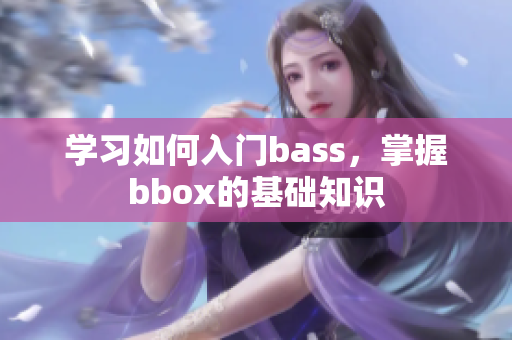 学习如何入门bass，掌握bbox的基础知识