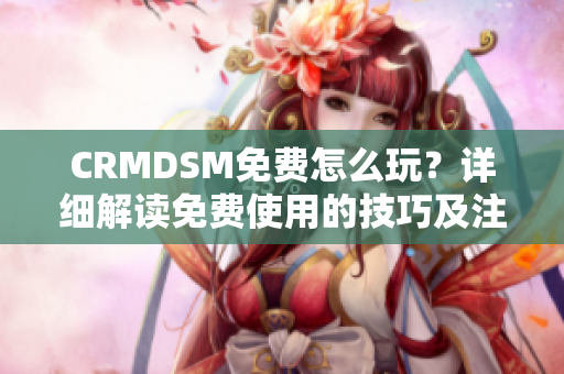 CRMDSM免费怎么玩？详细解读免费使用的技巧及注意事项