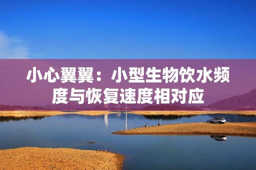 小心翼翼：小型生物饮水频度与恢复速度相对应