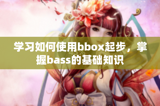 学习如何使用bbox起步，掌握bass的基础知识