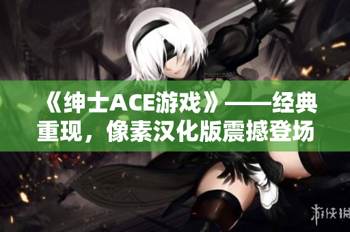 《绅士ACE游戏》——经典重现，像素汉化版震撼登场！