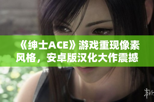 《绅士ACE》游戏重现像素风格，安卓版汉化大作震撼上线