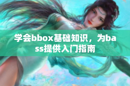 学会bbox基础知识，为bass提供入门指南