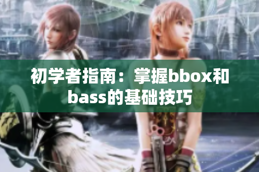 初学者指南：掌握bbox和bass的基础技巧