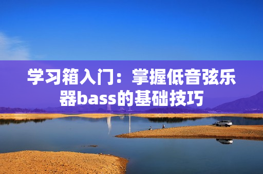 学习箱入门：掌握低音弦乐器bass的基础技巧