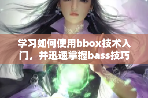 学习如何使用bbox技术入门，并迅速掌握bass技巧