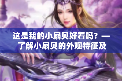 这是我的小扇贝好看吗？— 了解小扇贝的外观特征及魅力