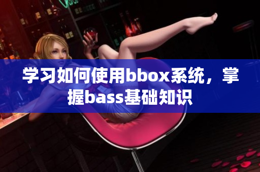 学习如何使用bbox系统，掌握bass基础知识