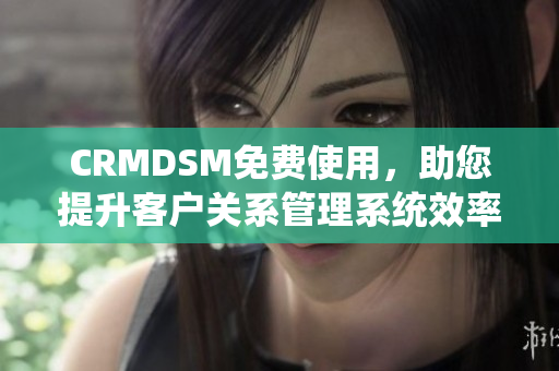 CRMDSM免费使用，助您提升客户关系管理系统效率