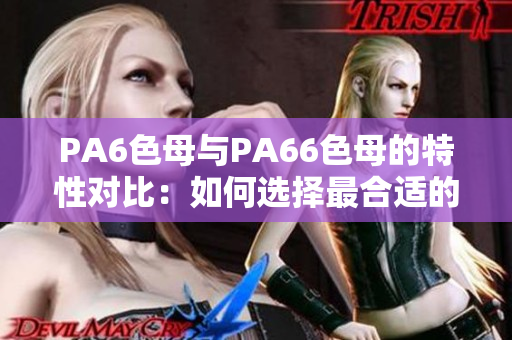 PA6色母与PA66色母的特性对比：如何选择最合适的塑料颜料？