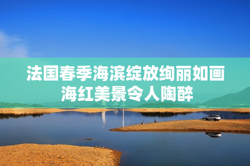 法国春季海滨绽放绚丽如画 海红美景令人陶醉