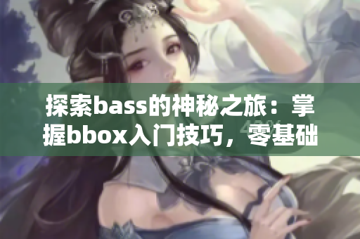 探索bass的神秘之旅：掌握bbox入门技巧，零基础也能玩转！