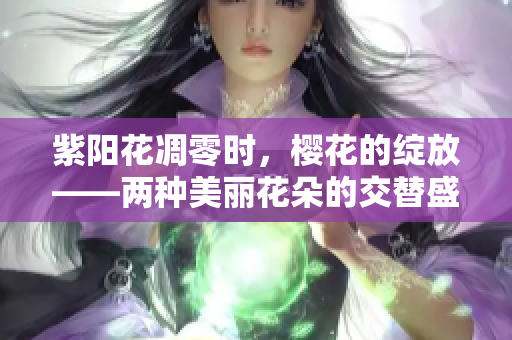 紫阳花凋零时，樱花的绽放——两种美丽花朵的交替盛放