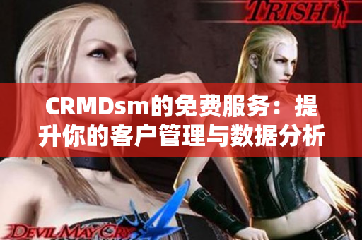 CRMDsm的免费服务：提升你的客户管理与数据分析效率