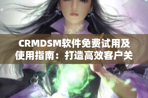 CRMDSM软件免费试用及使用指南：打造高效客户关系管理体系