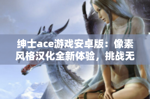 绅士ace游戏安卓版：像素风格汉化全新体验，挑战无限可能！